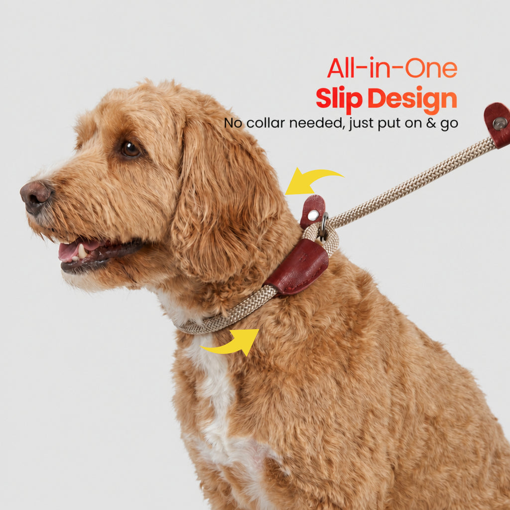 The Loop - 2in1 Slip Lead Dog Leash - Baby Pink