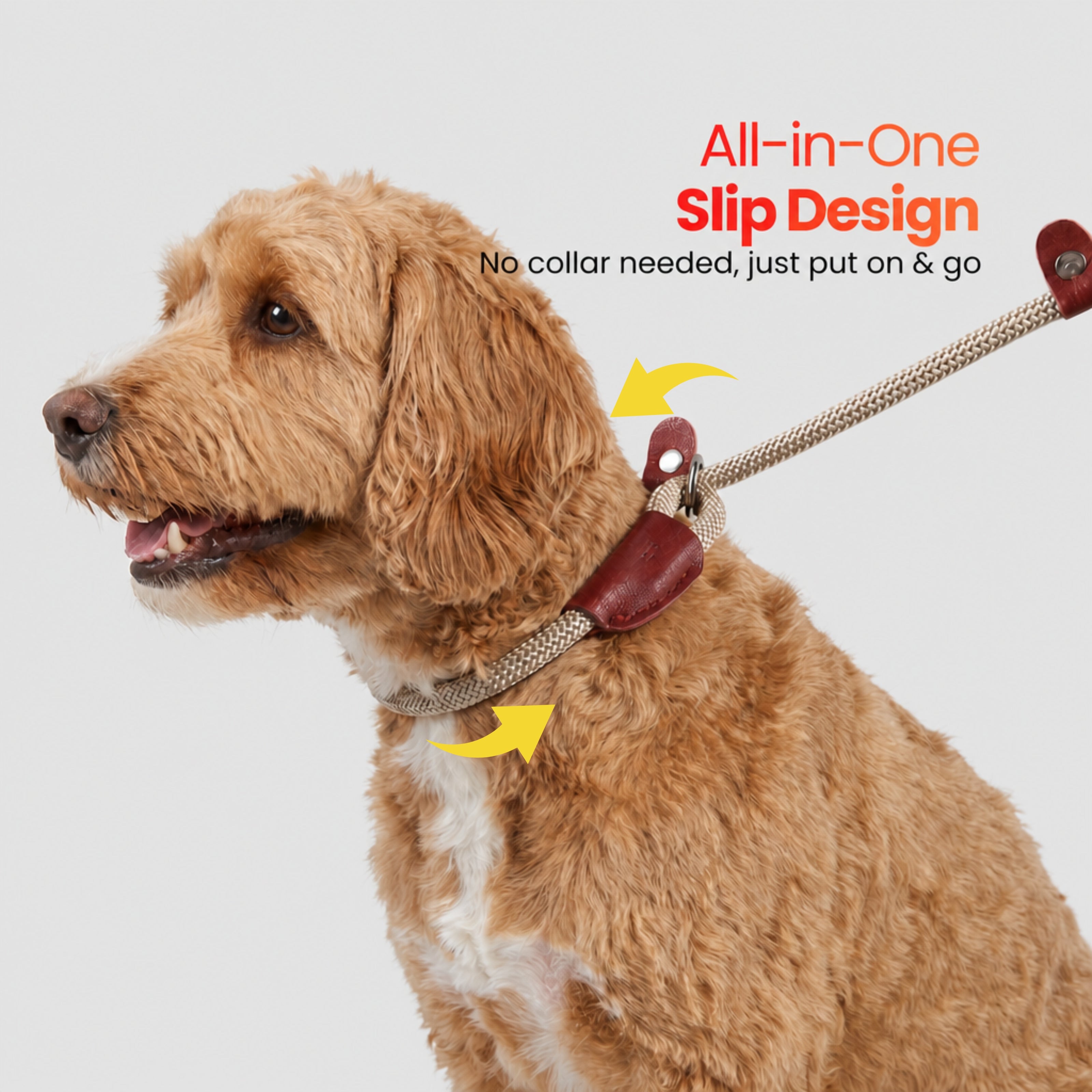 The Loop - 2in1 Slip Lead Dog Leash - Baby Blue