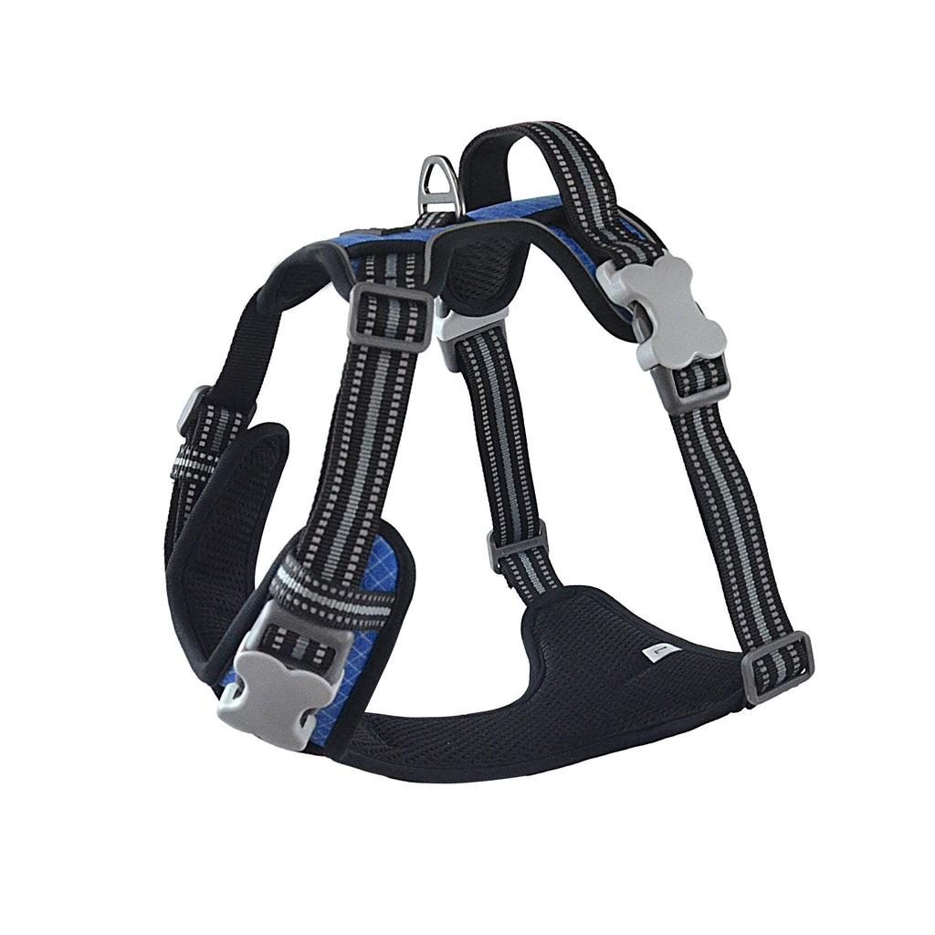The Explorer Harness - Blue