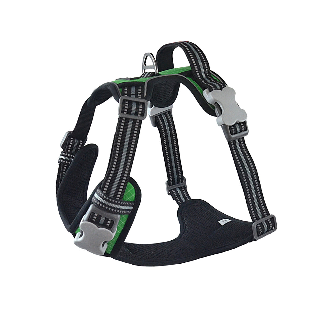 The Explorer Harness - Green