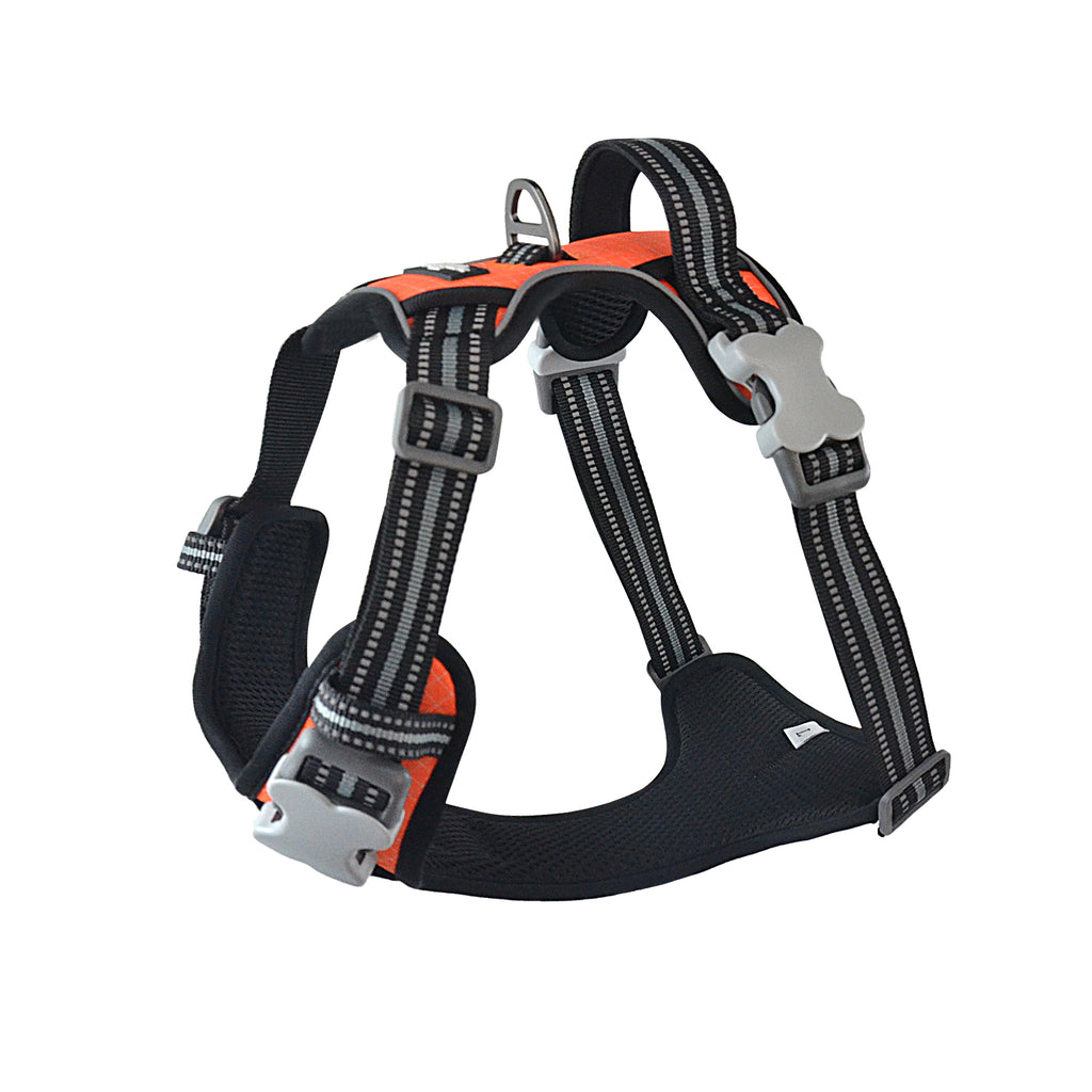 The Explorer Harness - Orange