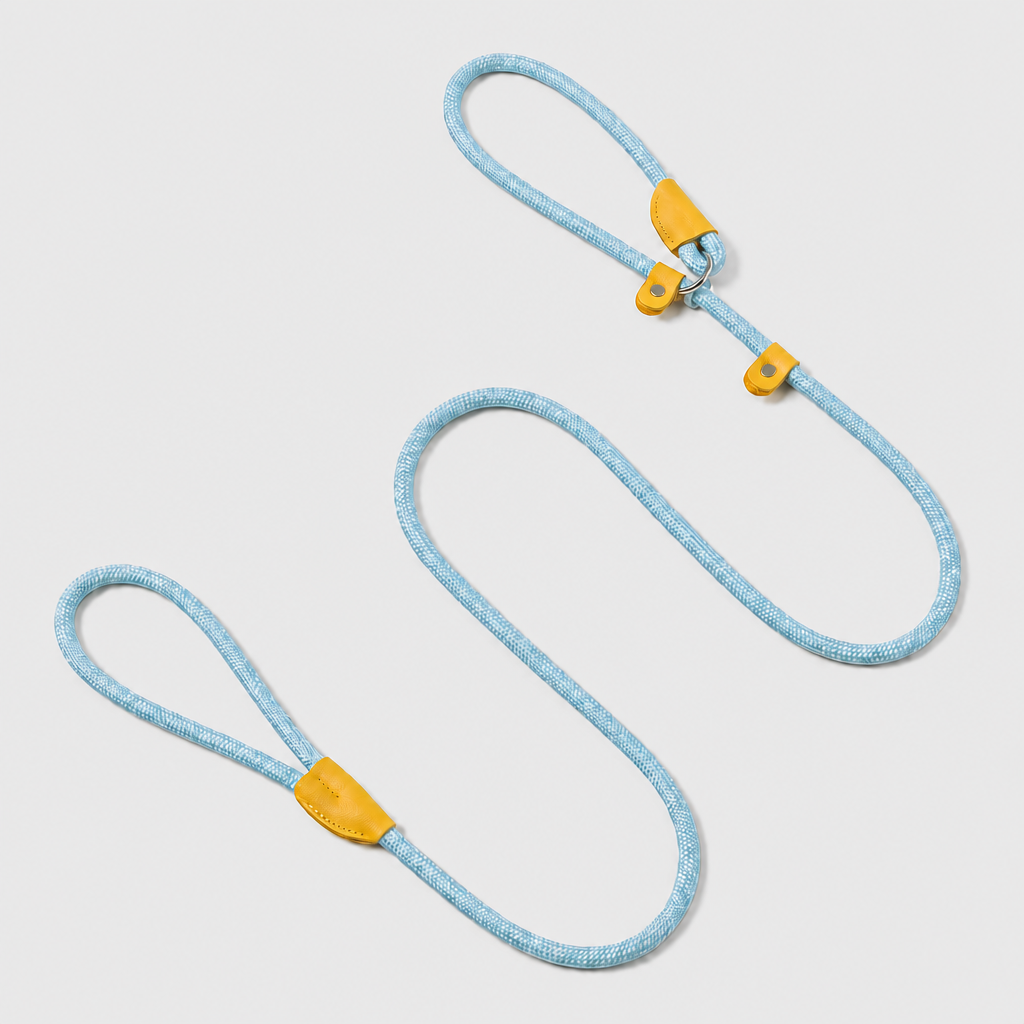 The Loop - 2in1 Slip Lead Dog Leash - Baby Blue