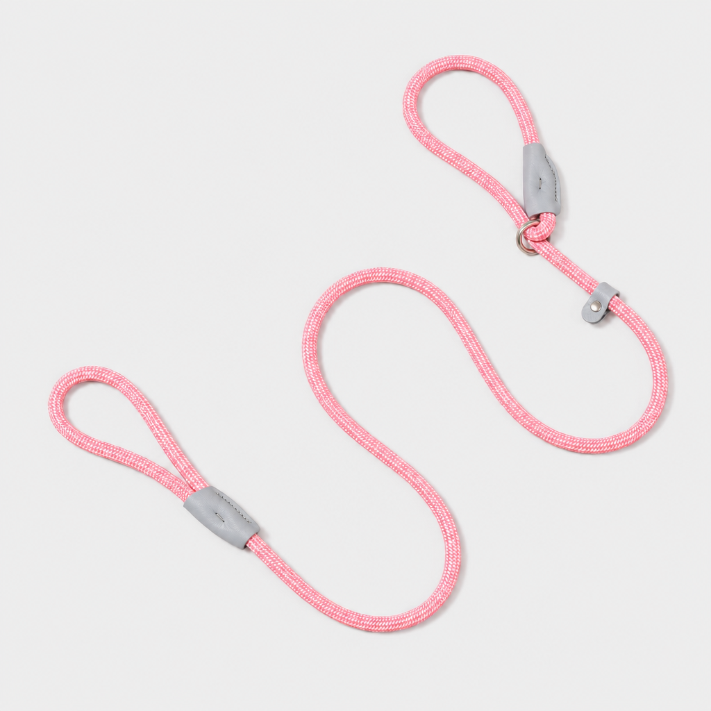 The Loop - 2in1 Slip Lead Dog Leash - Baby Pink