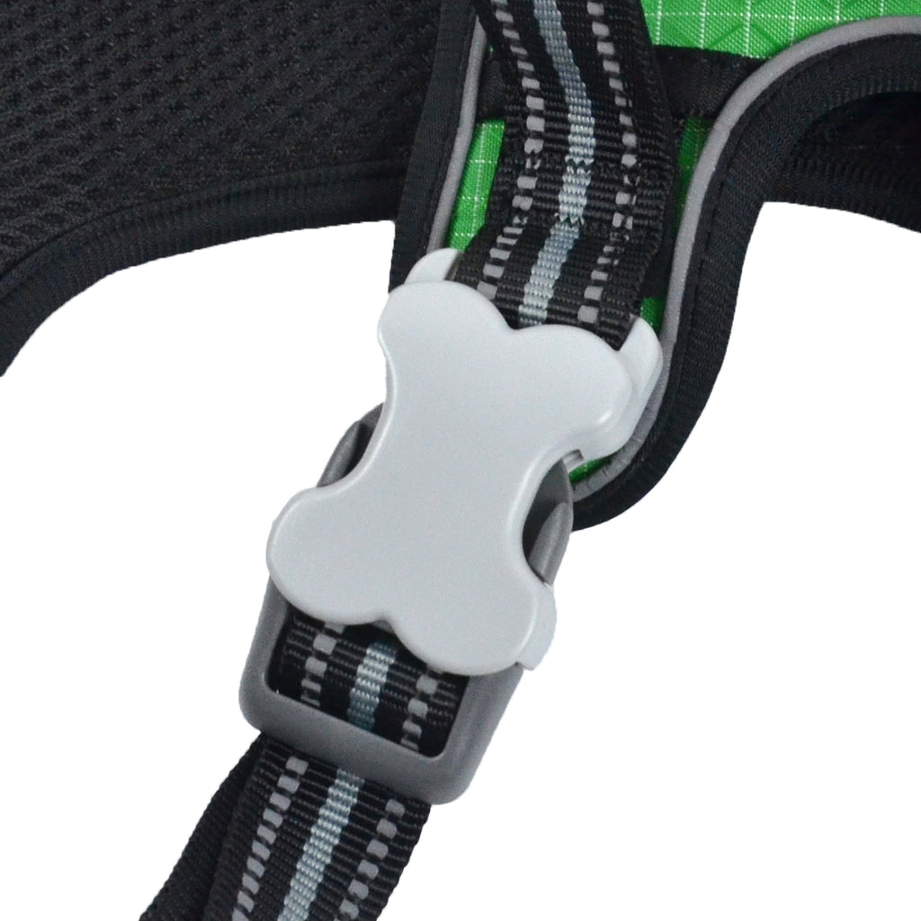 The Explorer Harness - Green