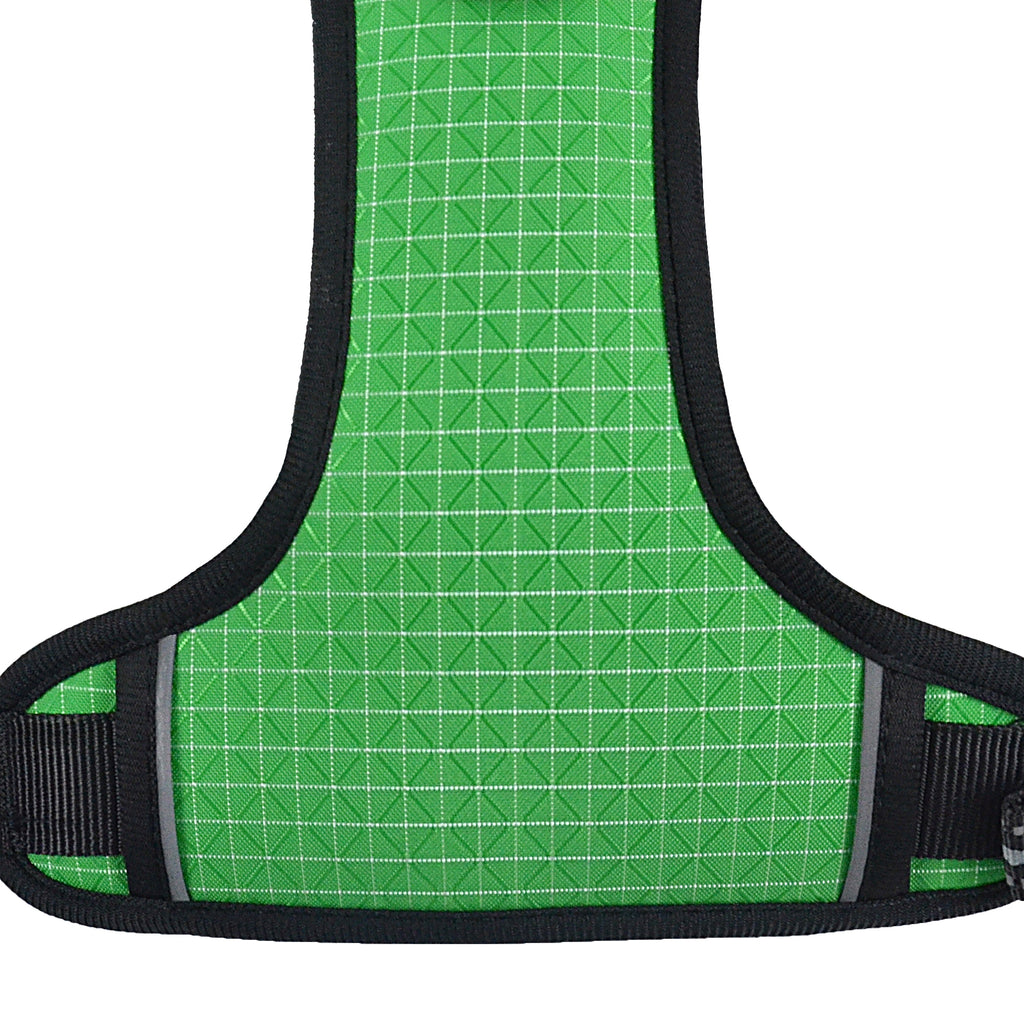 The Explorer Harness - Green