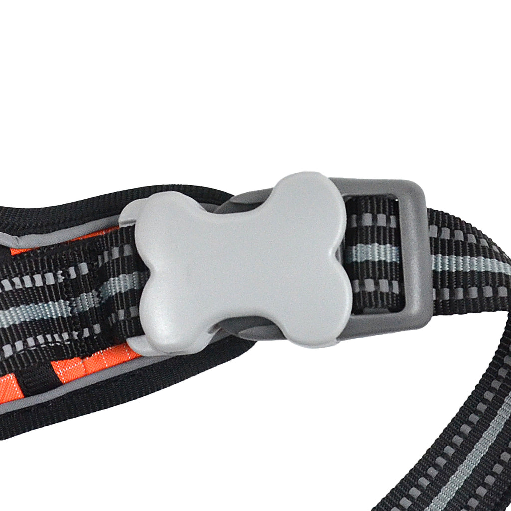 The Explorer Harness - Orange