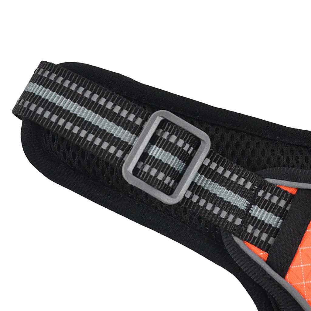 The Explorer Harness - Orange