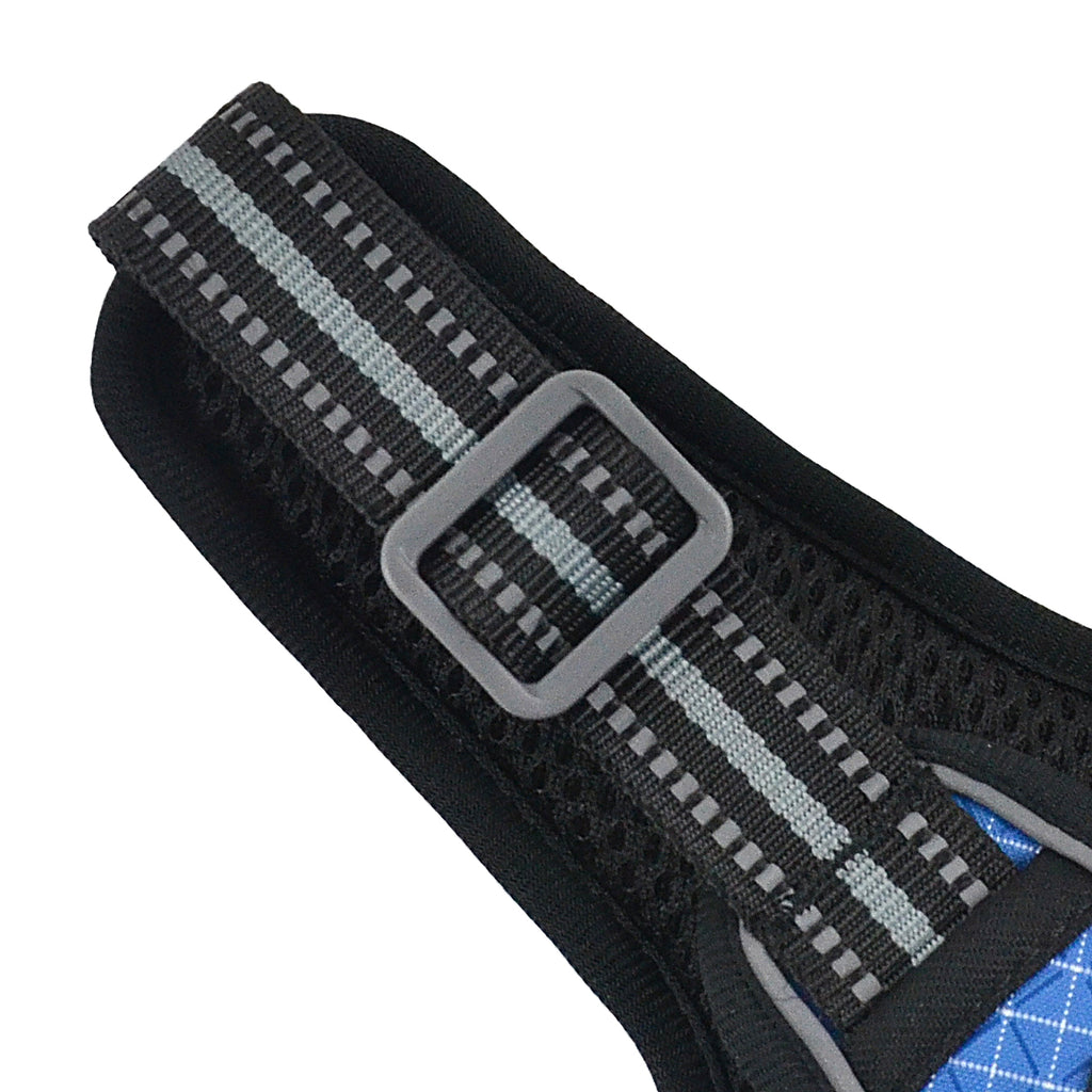 The Explorer Harness - Blue