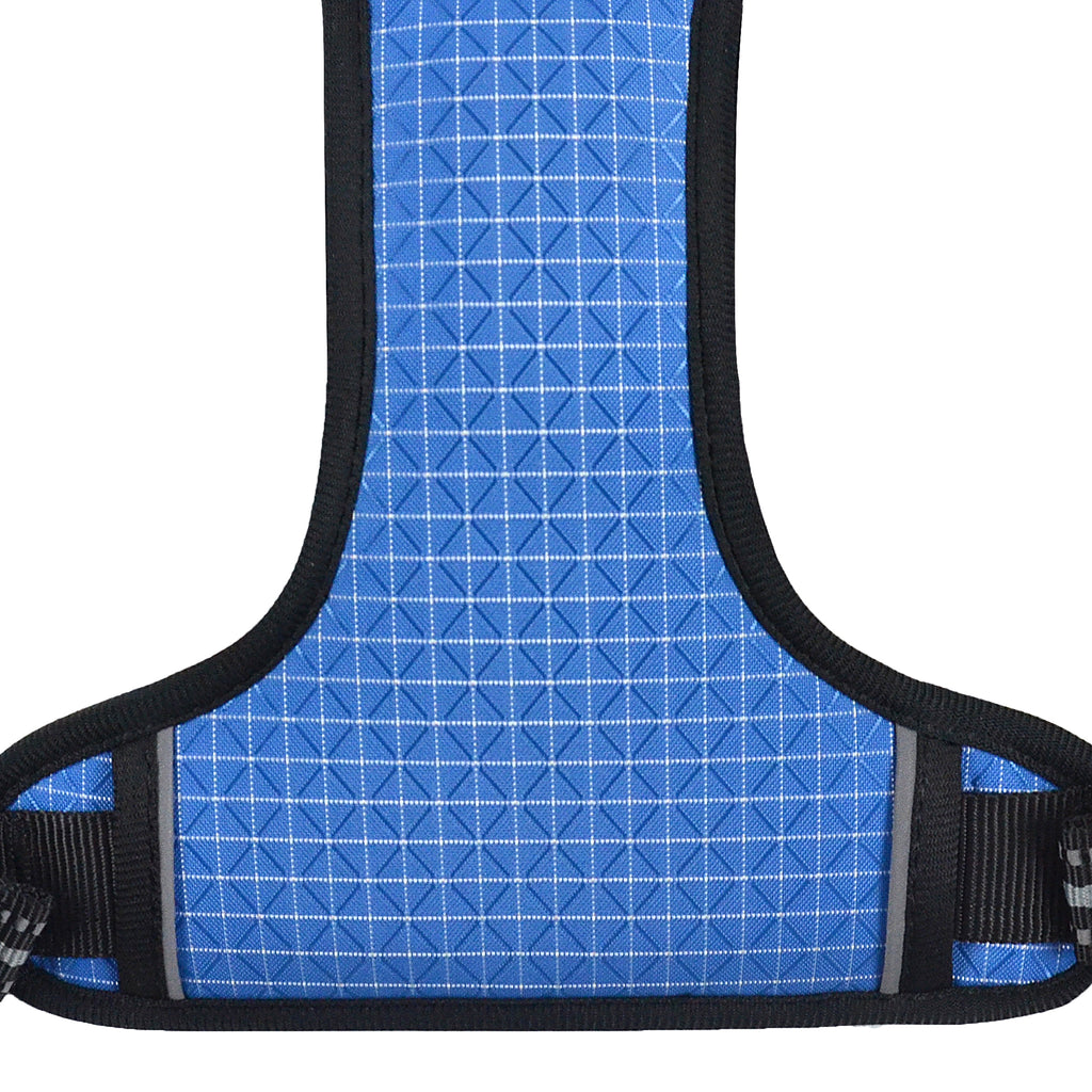 The Explorer Harness - Blue