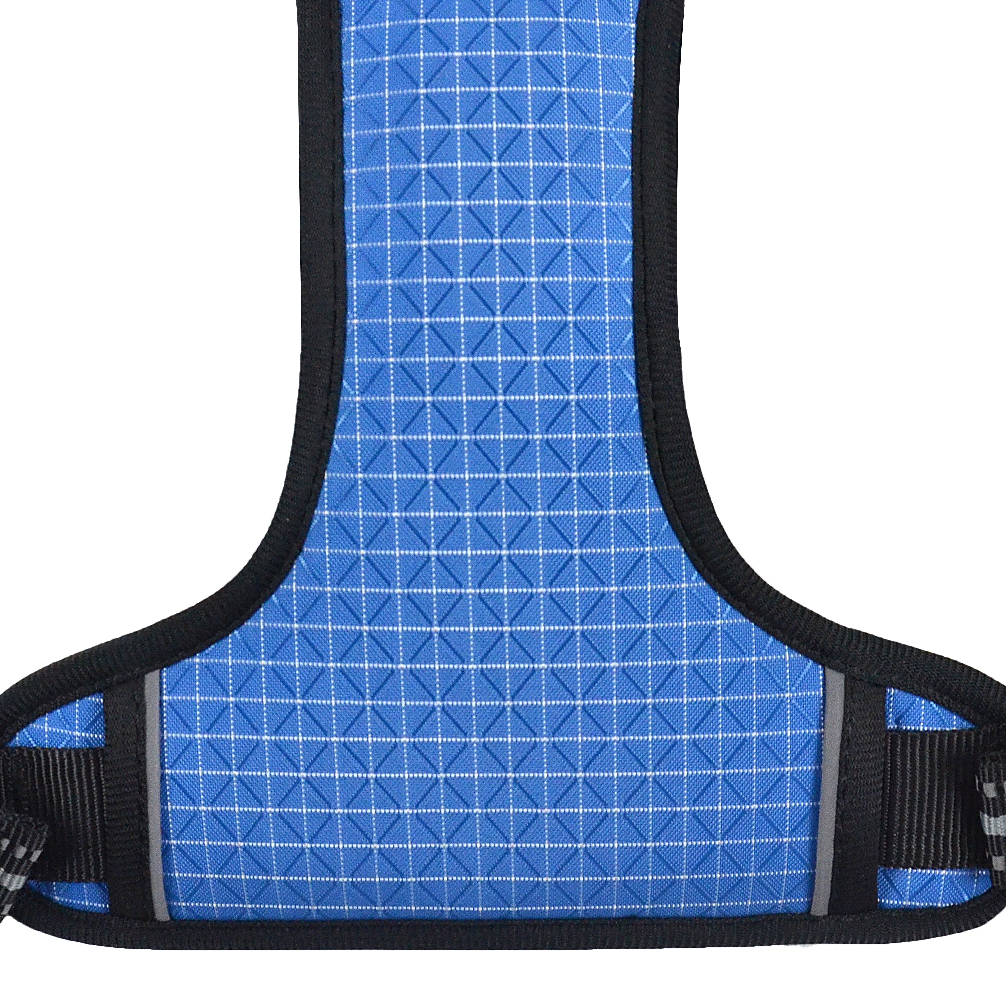 The Explorer Harness - Blue