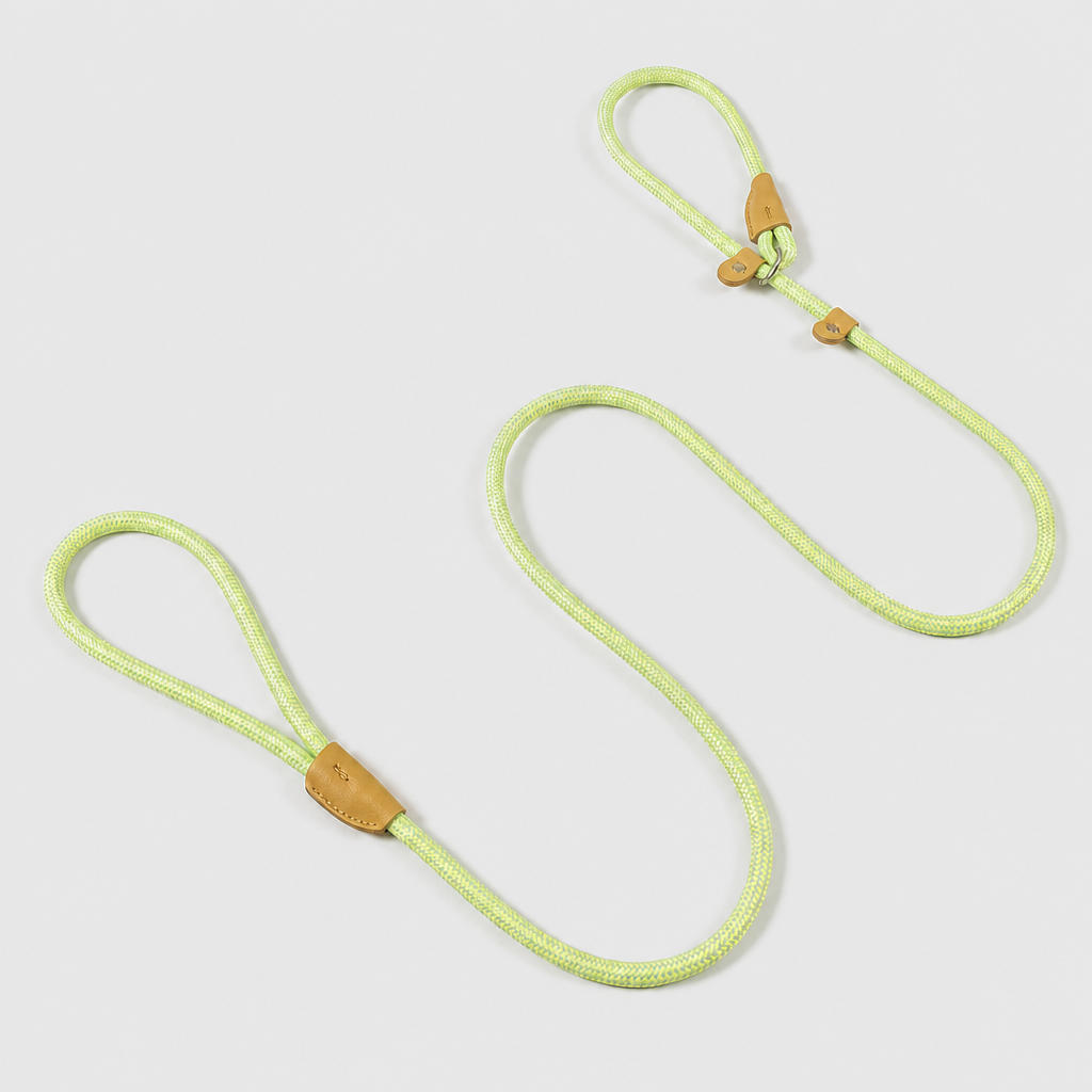 The Loop - 2in1 Slip Lead Dog Leash - Neon Green