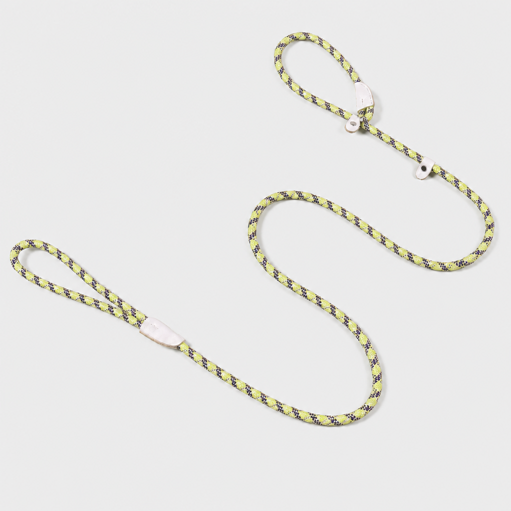 The Loop - 2in1 Slip Lead Dog Leash - Pistachio