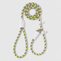 The Loop - 2in1 Slip Lead Dog Leash - Pistachio