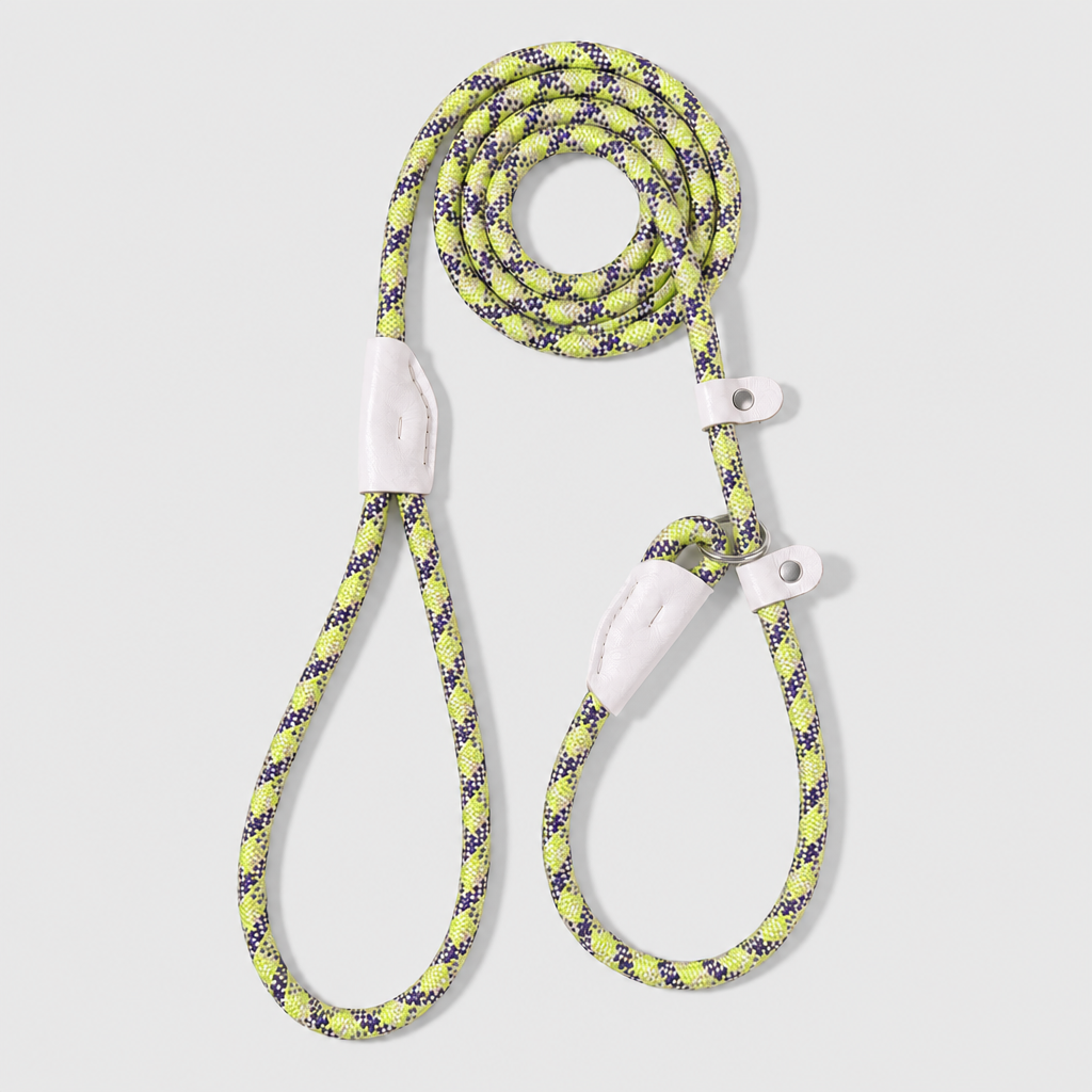 The Loop - 2in1 Slip Lead Dog Leash - Pistachio