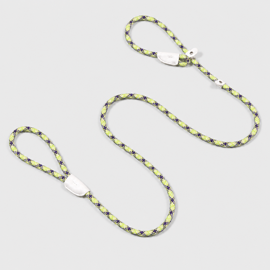The Loop - 2in1 Slip Lead Dog Leash - Pistachio