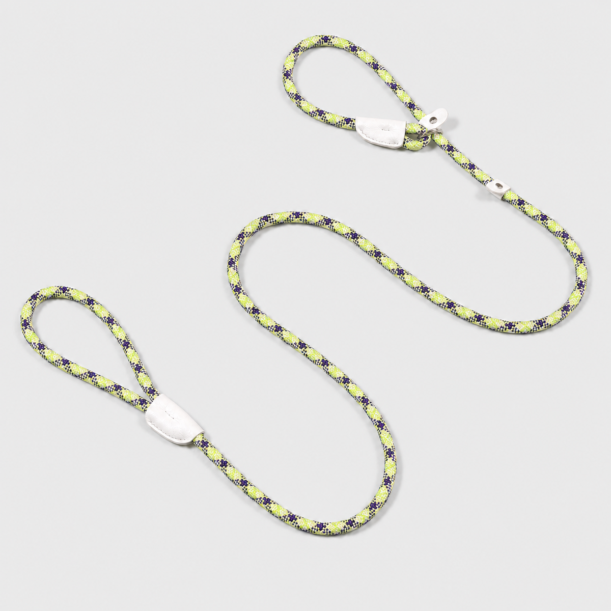 The Loop - 2in1 Slip Lead Dog Leash - Pistachio