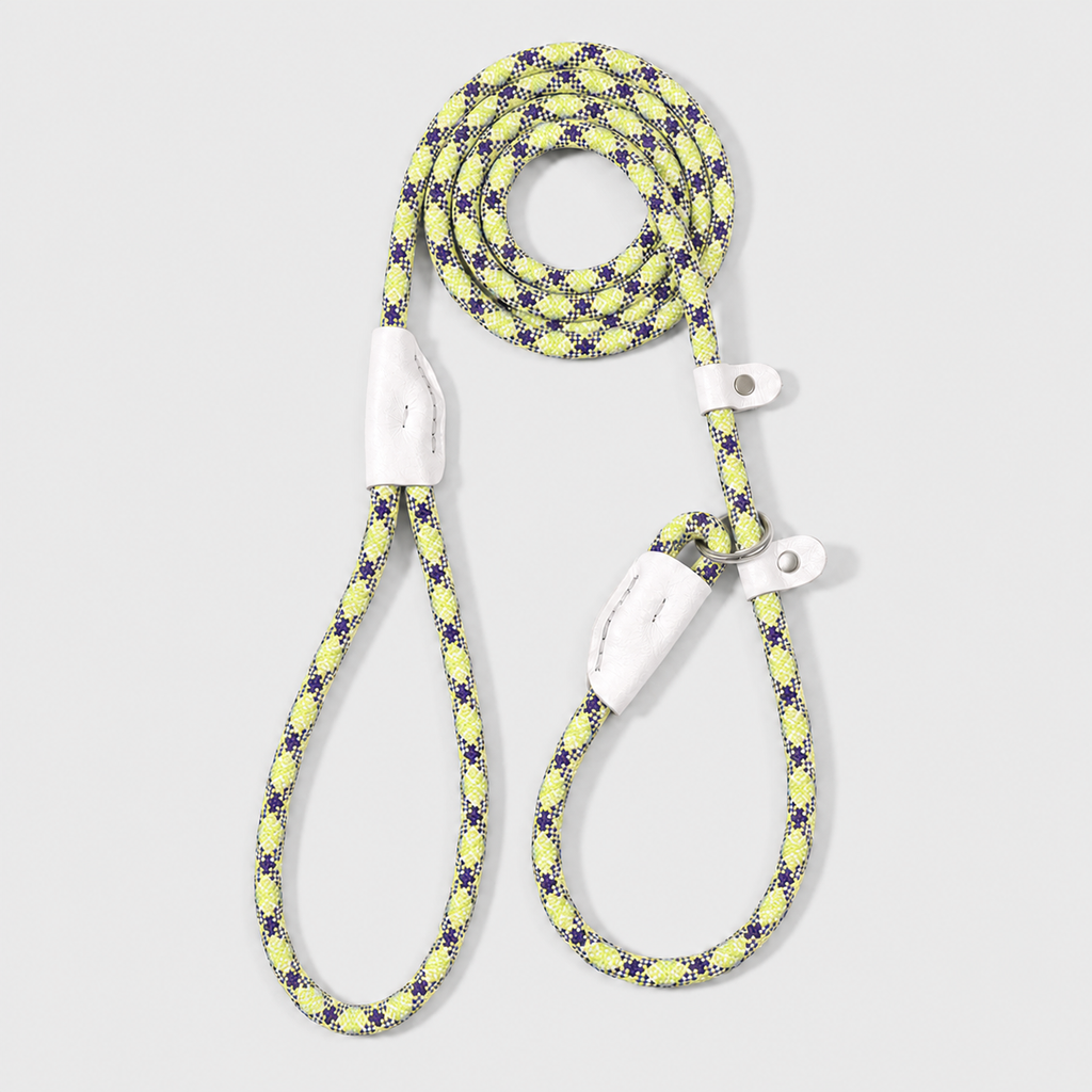 The Loop - 2in1 Slip Lead Dog Leash - Pistachio