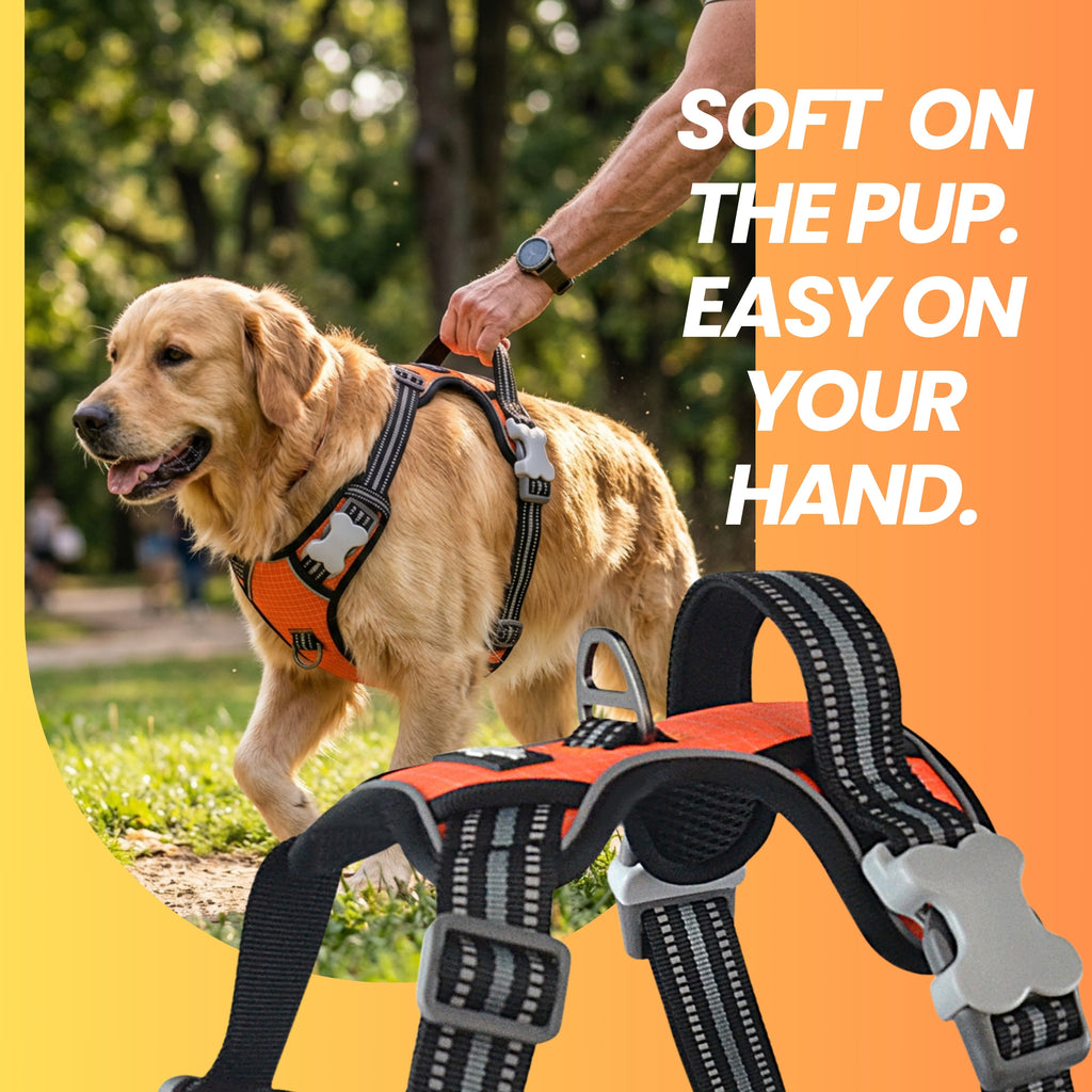 The Explorer Harness - Green