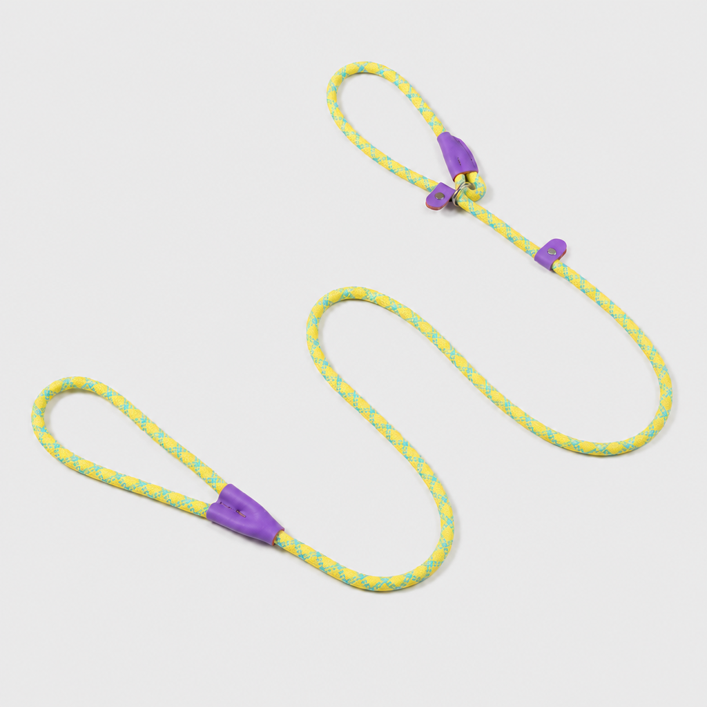 The Loop - 2in1 Slip Lead Dog Leash - Yellow Turquoise