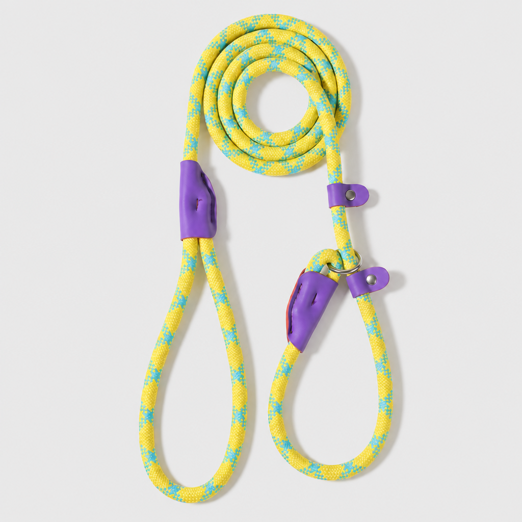 The Loop - 2in1 Slip Lead Dog Leash - Yellow Turquoise